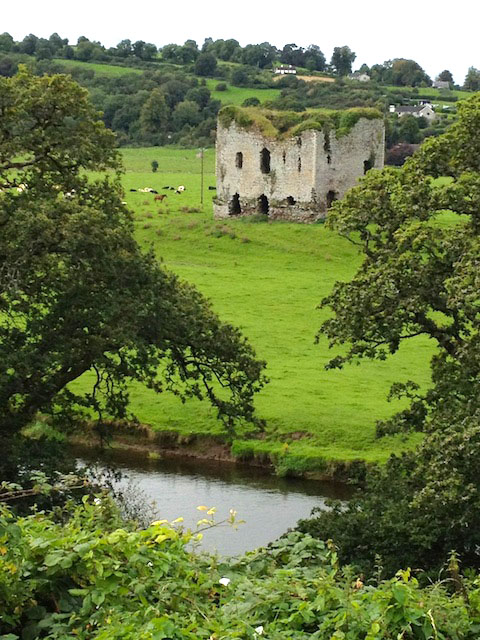 Grennan Castle 1 - from a far