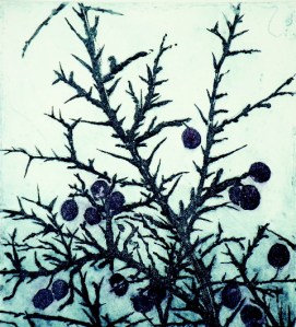 Graphic Studio Dublin & Graphic Studio Gallery -- image from invitation to the art show.