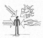 These factors affect human thermal comfort. (Image from the book Shiller, M. (2004). Mechanical and electrical systems. Chicago: Dearborn Financial Publishing.)