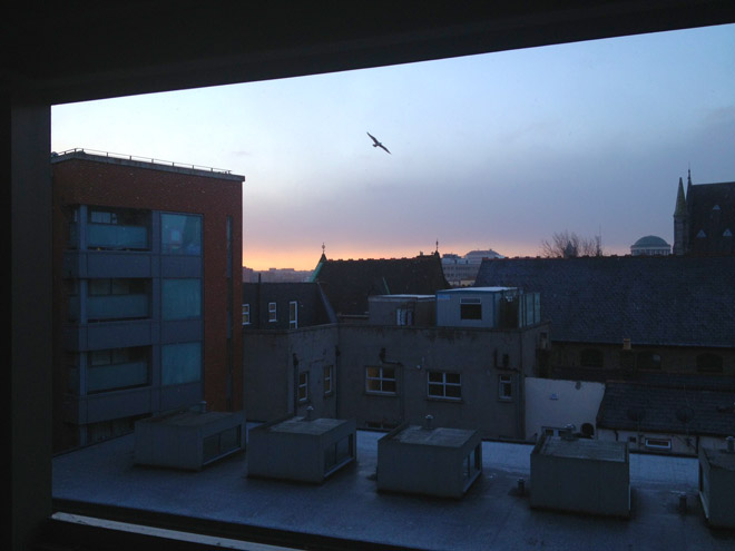 snowy sunrise February 5