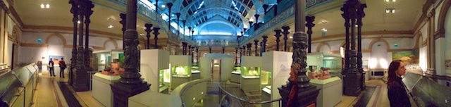 I love the design of the Museum.  I wish I could see it without the skylight blocked out, though.