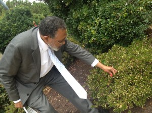Walking back to our academic buildings, Dr. Fowlks and I stopped to investigate botanical wonders--like this bloom that sprouted out of season.